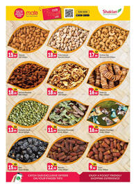 Shaklan leaflet Page 6