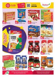 Shaklan leaflet Page 8