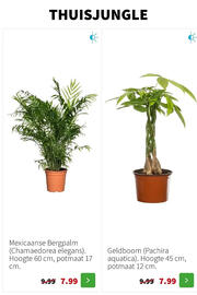 Intratuin folder week 52 Pagina 3