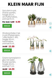 Intratuin folder week 52 Pagina 4