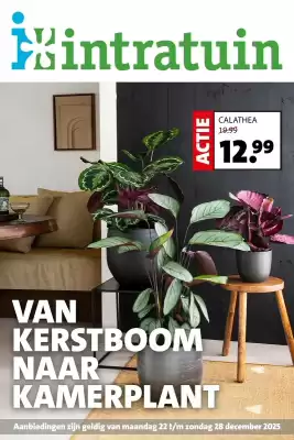 Intratuin folder (geldig t/m 28-12)