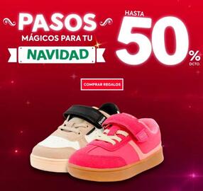 Catálogo Ficcus semana 51 Página 3