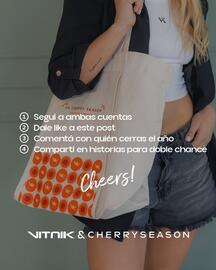 Catálogo Vitnik semana 51 Página 3