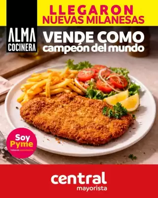 Catálogo Central Mayorista (válido hasta 20-12)