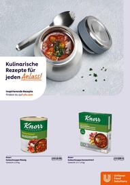 Eurogast Grissemann Flugblatt Seite 13