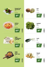 Eurogast Grissemann Flugblatt Seite 2