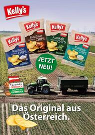 Eurogast Grissemann Flugblatt Seite 20