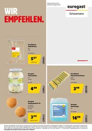 Eurogast Grissemann Flugblatt Seite 28