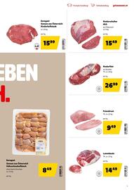 Eurogast Grissemann Flugblatt Seite 5