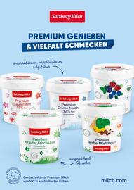 Eurogast Grissemann Flugblatt Seite 9