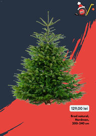 Catalog Brico Depôt Pagină 9