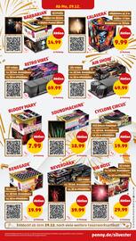 PENNY DE folder | Vuurwerk Pagina 2