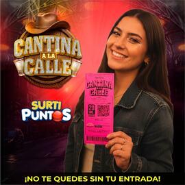 Catálogo Surtifamiliar Página 2