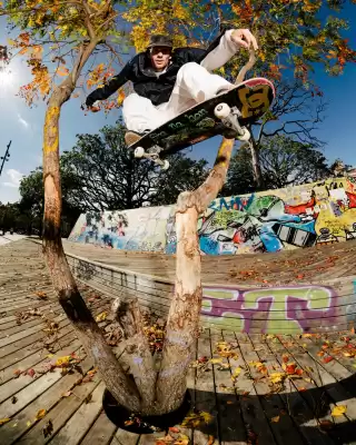 Catálogo DC Shoes (válido hasta 25-12)