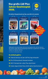 Lidl Flugblatt Seite 17