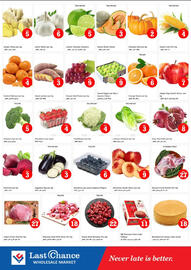 Last Chance flyer Page 2