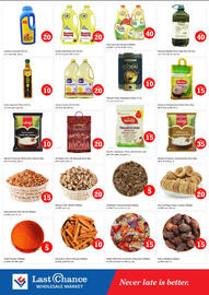 Last Chance flyer Page 5