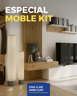 Catálogo Fesmés (válido hasta 31-12)