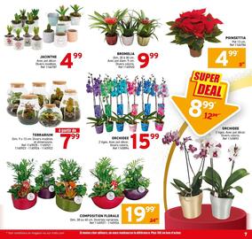 Catalogue Trafic page 7