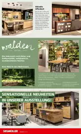 Segmüller Prospekt Seite 32