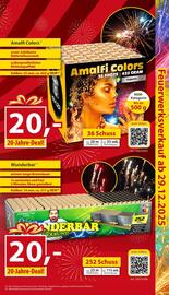 Sonderpreis Baumarkt Prospekt woche 52 Seite 11