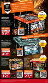 Sonderpreis Baumarkt Prospekt woche 52 Seite 13