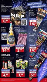 Sonderpreis Baumarkt Prospekt woche 52 Seite 15