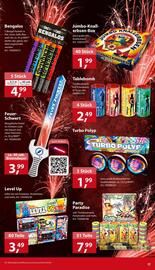 Sonderpreis Baumarkt Prospekt woche 52 Seite 17