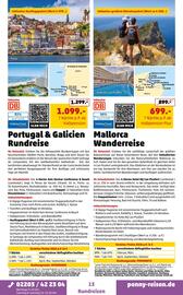 Penny Reisen Prospekt Seite 13