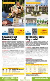 Penny Reisen Prospekt Seite 37