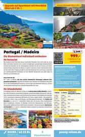 Penny Reisen Prospekt Seite 8