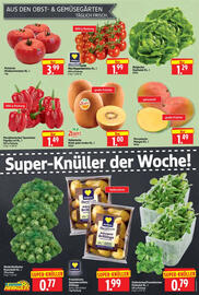 Edeka Herkules Prospekt woche 52 Seite 6