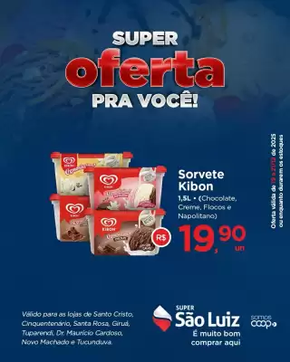 Catálogo Super São Luiz (válido até 21-12)