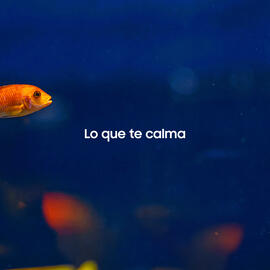 Catálogo Samsung semana 51 Página 2