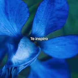 Catálogo Samsung semana 51 Página 3