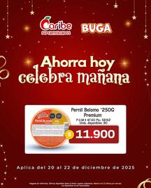 Catálogo Caribe Supermercados Página 5