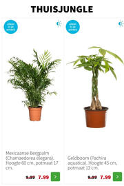 Intratuin folder week 52 Pagina 3