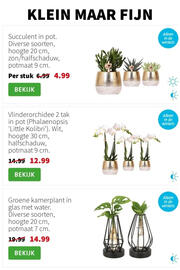 Intratuin folder week 52 Pagina 4