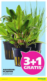 Ranzijn folder Pagina 7