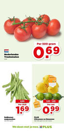 PLUS folder Pagina 22