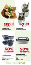 PLUS folder Pagina 40