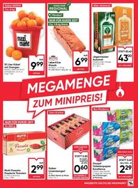 Maximarkt Flugblatt Seite 15
