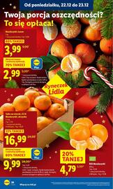 Lidl gazetka Strona 22