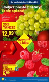 Lidl gazetka Strona 24