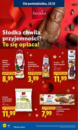 Lidl gazetka Strona 42