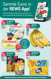 REWE Prospekt woche 52 Seite 6