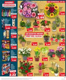 Kaufland Prospekt Seite 13