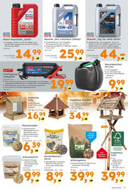 Globus Baumarkt Prospekt Seite 3