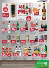 Terno leták Strana 13