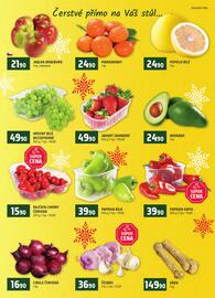 Terno leták Strana 6